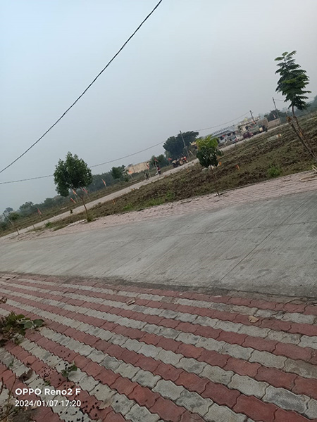 NA Plots Pipla phata