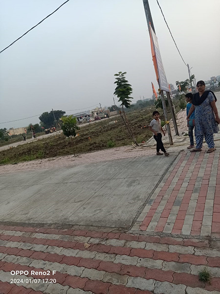 NA Plots Narsala